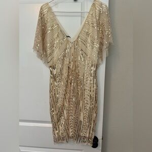NWT- 1920S SEQUIN FLAPPER DRESS. (Smoke/Pet-Free home)